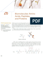 Biomolecules: Amino Acids, Peptides, and Proteins