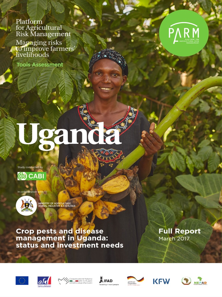 crop-pest-management-in-uganda-report-pdf-risk-management-agriculture