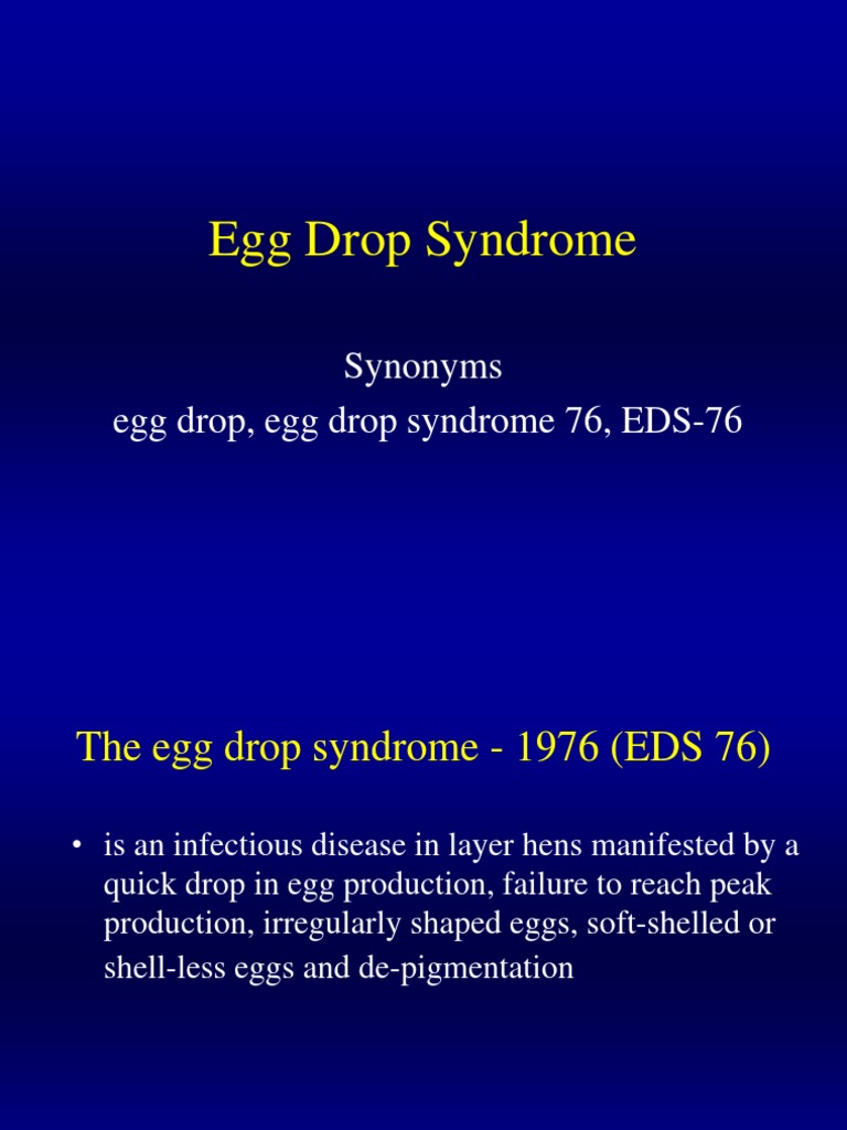 Synonyms Egg Drop, Egg Drop Syndrome 76, EDS76 PDF Clinical