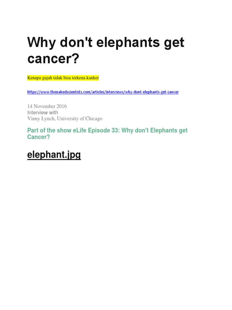 Why Dont Elephants Get Cancer PDF Cancer