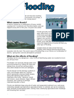 flooding.pdf