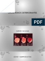 Organismos Deteriorantes Microbiologia