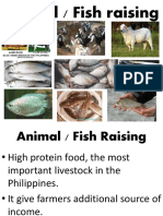 Animalandfishraising6 180729105611
