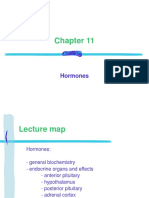 11 A Endocrine