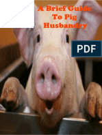 a brief guide to pig husbandry