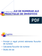 Proiectul de Investitii