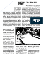 Importancia_del_Curado_en_el_Concreto.pdf