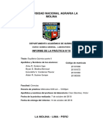 Química Informe N10