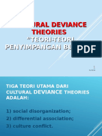 Cultural Deviance Theory