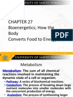 Chapter 27 Bioenergetics