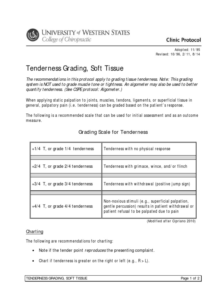 Tenderness Grading PDF PDF Medical Specialties Musculoskeletal System