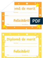 DIPLOME MERIT.pdf