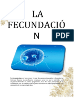 La Fecundación