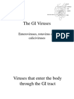 The GI Viruses: Enteroviruses, Rotavirus and Caliciviruses
