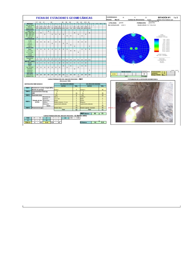 Formato RMR | PDF | Naturaleza