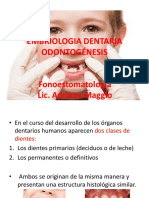 Embriologia Dentaria