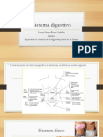 Sistema digestivo: Examen físico del abdomen y síndromes abdominales