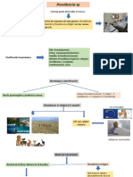 Bacteriologia Enterobacterias