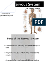 The Nervous System: The Central Processing Unit