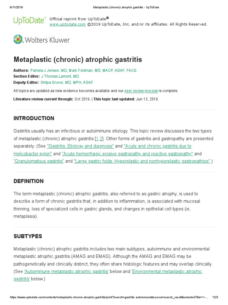 Metaplasia Intestinal | PDF | Gastroenterology | Stomach