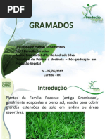 Dicionario Portugues Polaco | PDF