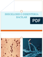3 Shigelosis E.coli.