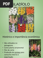 Dicionario Portugues Polaco | PDF