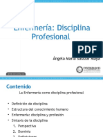 Enfermería como disciplina profesional