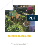 Serie Cosecha Dorada-2019