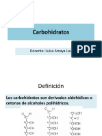 CHO-digestión III UNIDAD PDF