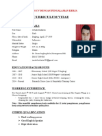 CV Dengan Pengalaman Kerja