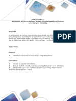 Informe Practica 6