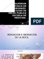 IRRIGACION E INERVACIÓN } (1).pptx