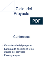 Ciclo Del Proyecto