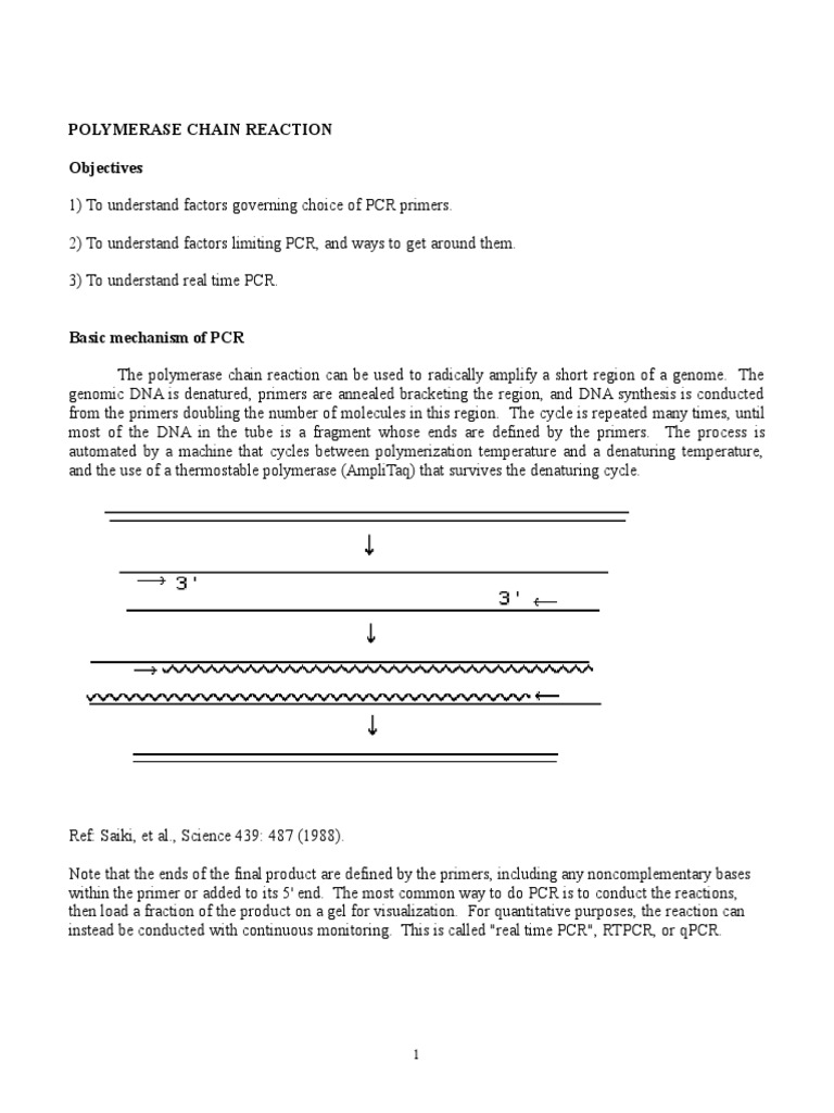 Polymerase Chain Reaction Objectives | PDF | Polymerase Chain Reaction ...