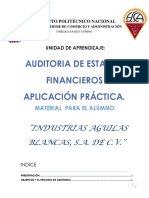 Auditoría de estados financieros de Industrias Aguilas Blancas