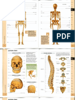 Atlas_Sistema óseo (color).pdf