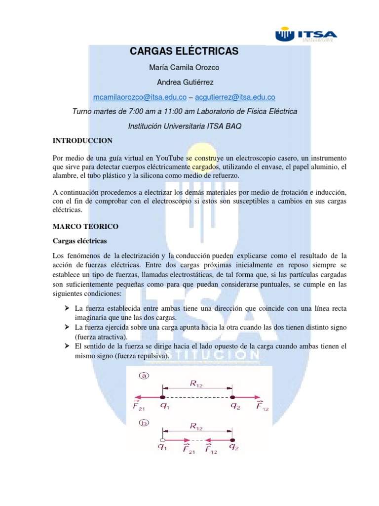 Cargas Electricas.pdf Carga eléctrica Electrostática Prueba gratuita de 30 días Scribd