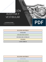 Exploracion Auditiva y Vestibular