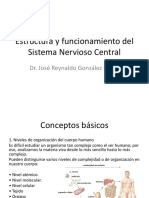 Estructura y Funcionamiento Del Sistema Nervioso Central.
