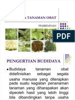 Budidaya Tanaman Obat (2.2)