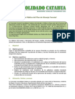 Resumen Del PGMF Consolidado Catahua