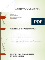 Biomedik 11 Sistem Reproduksi Pria