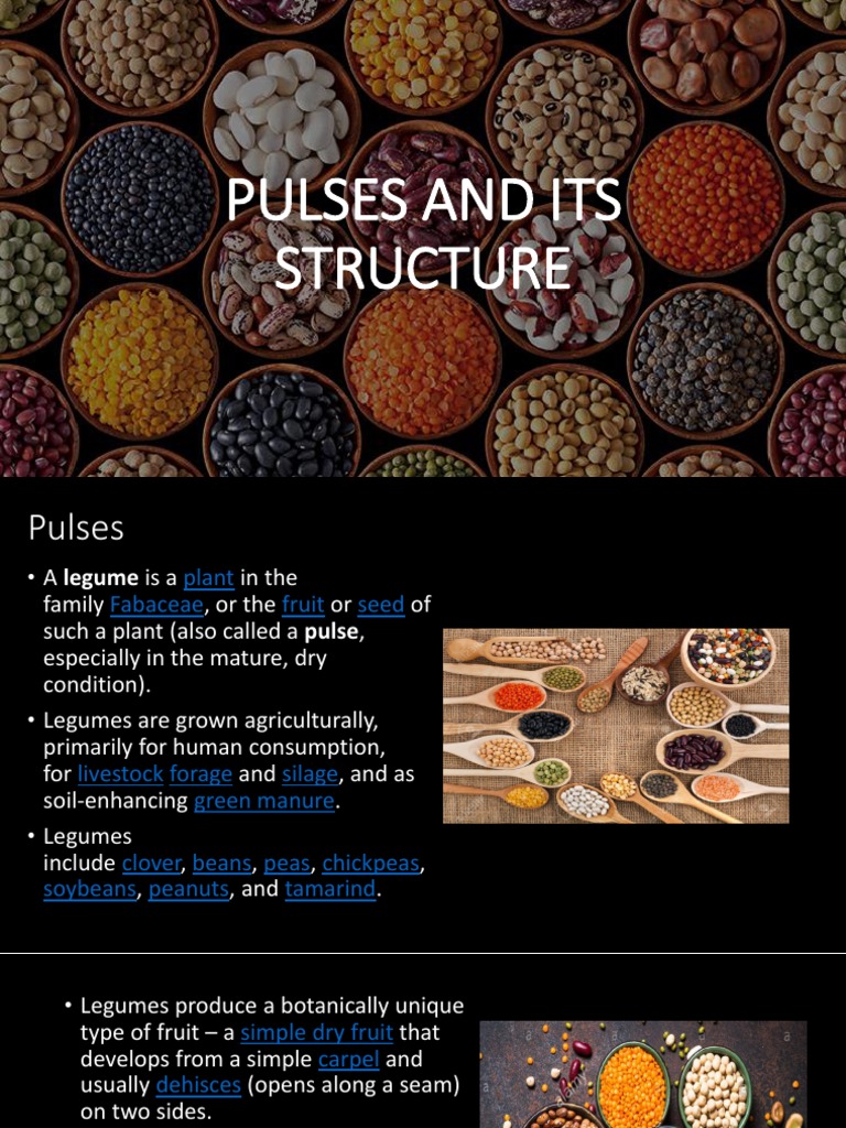 Understanding Pulses and Their Structure | PDF | Legume | Edible Plants