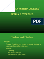 Retina & Vitreous