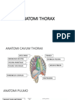 Anatomi Thorax