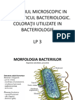 EX. Microscopic in Bacteriologie