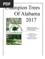 Champion Trees