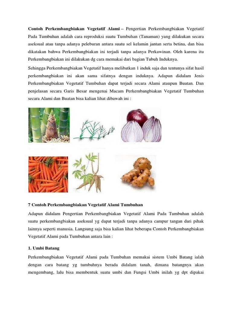 7 Contoh Perkembangbiakan Vegetatif Alami Tumbuhan