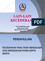 Lain-Lain Kecederaan